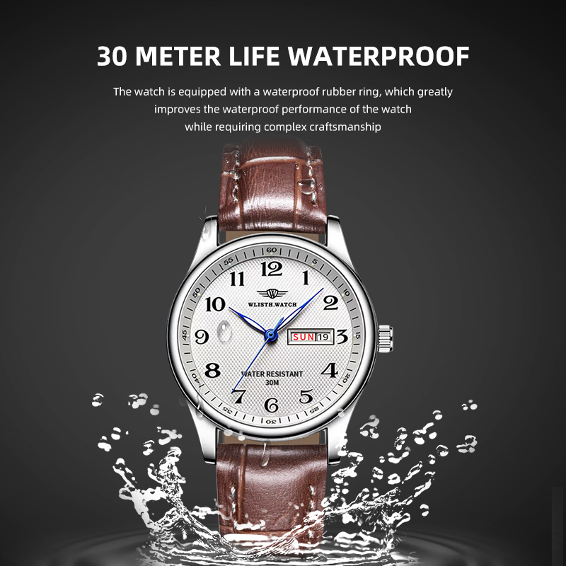 WLISTH Luxury Brand Men's Watc - Luxury Watch Maker 评论和价格
